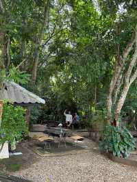 ฮกหลง คาเฟ่ | เชียงดาว 🏡☕️🌿🍃