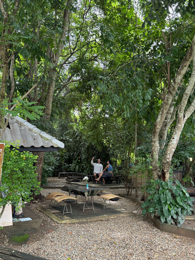 ฮกหลง คาเฟ่ | เชียงดาว 🏡☕️🌿🍃