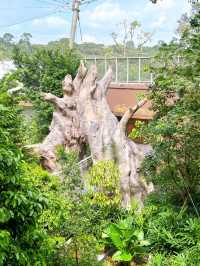 Bird Paradise Singapore Waterfalls