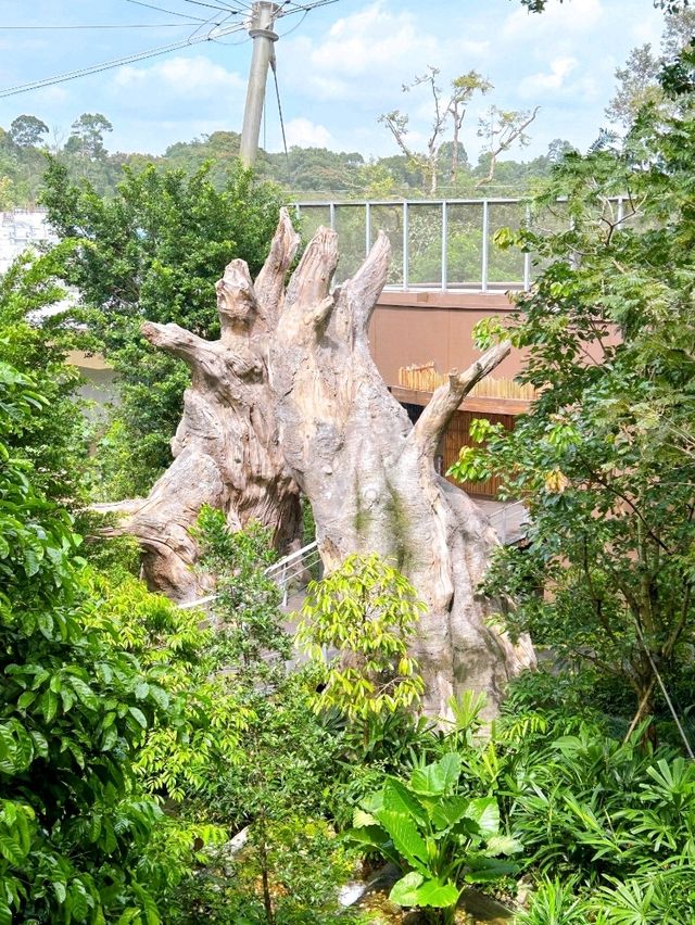 Bird Paradise Singapore Waterfalls