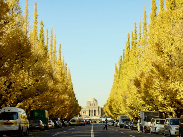 Tokyo in Yellow!