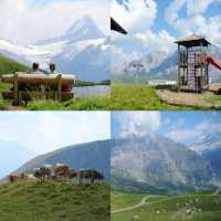 Grindelwald First 🇨🇭