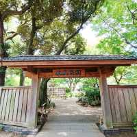 横浜観光おすすめスポット✨横浜公園『彼我公園』