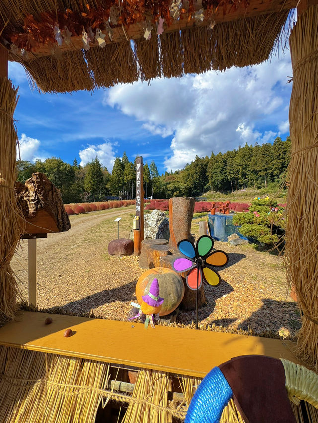 【群馬】秋のおでかけスポット🐿もふもふコキアの季節がやってきた🧡