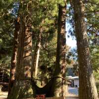 室生龍穴神社