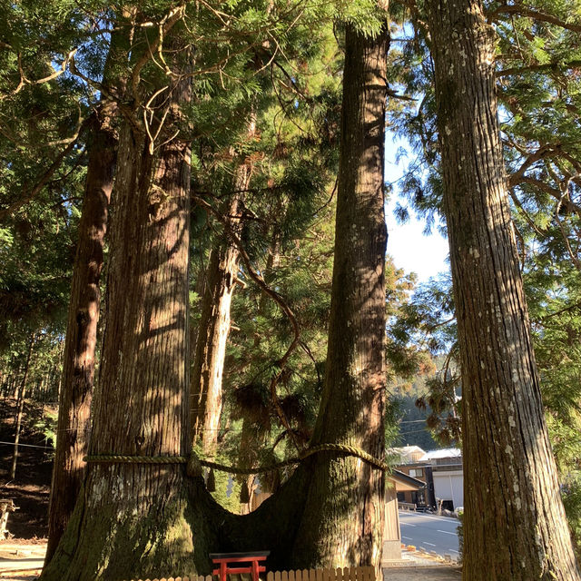 室生龍穴神社