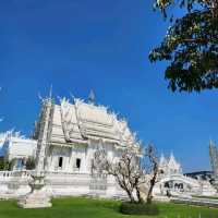 🏯 วัดร่องขุ่น 