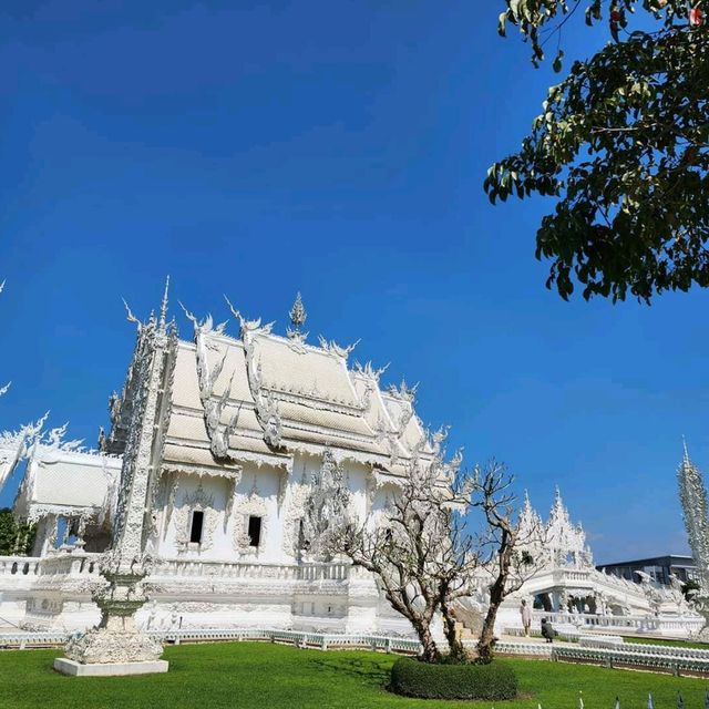 🏯 วัดร่องขุ่น 