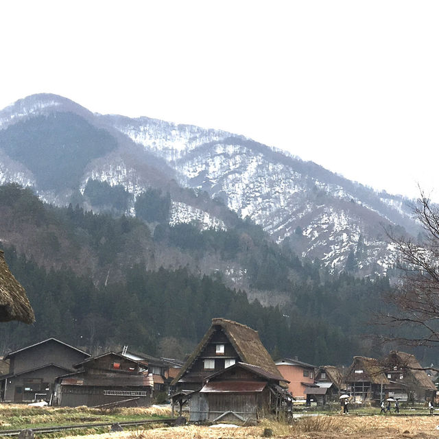 🇯🇵💴Japan Nagoya Trip Shirakawa-go