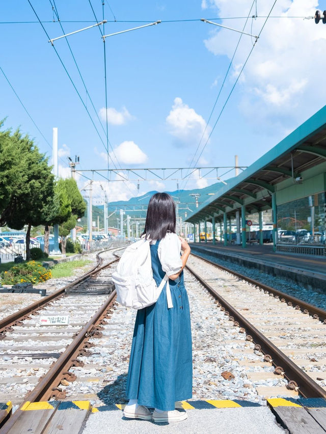 자연과 역사가 살아 숨쉬는 즐거운 여행지 영월💚 