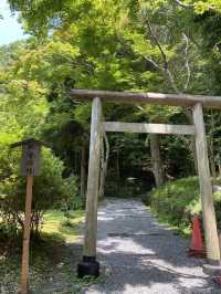【京都観光】身も心も清められる出雲大神宮で御参拝⛩️