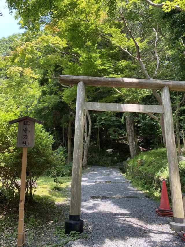 【京都観光】身も心も清められる出雲大神宮で御参拝⛩️