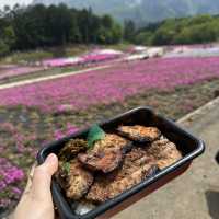 秩父トリップ🫶芝桜と豚みそ