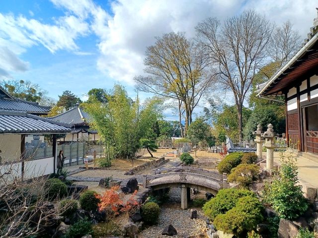 【興聖寺:京都府宇治市】秋には美しい紅葉が見れるお寺🍁