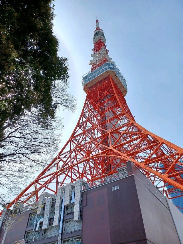 【東京タワー:東京都港区】美しい東京のシンボル♪