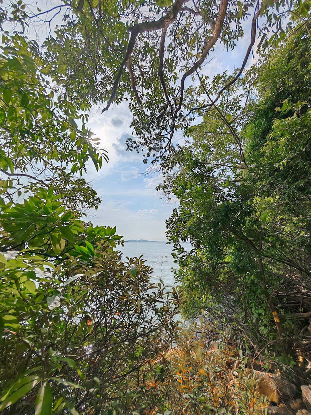 Exploring Tanjung Tuan Recreational Forest 🌿