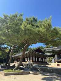 How to get to historic palaces in Seoul for free