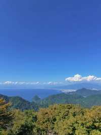 【📍伊豆】山頂に広がるブルー空間🩵実際行ってみて感じた正直レビュー！