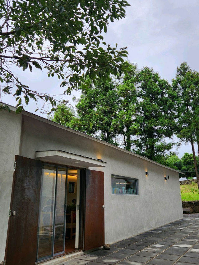 🪴🌱제주 서귀포 예쁜 카페 담소요 | 트립닷컴 서귀포 🪴🌱제주 서귀포 예쁜 카페 담소요 | 트립닷컴 서귀포 