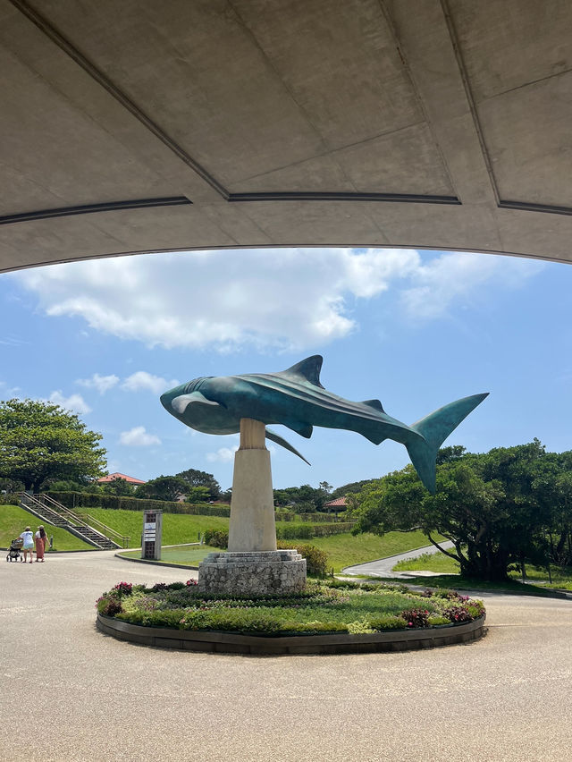 오키나와여행 필수코스📍추라우미 수족관(+인생샷은 덤!)