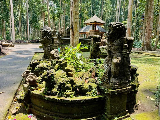 Immersed in Nature at Sangeh Monkey Forest