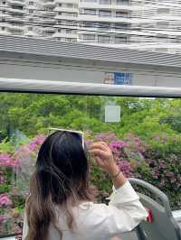 ชวนแฟนไปนั่งรถบัส 🚌 ชมวิวทะเล 🌊  🌴 , เมืองพัทยา