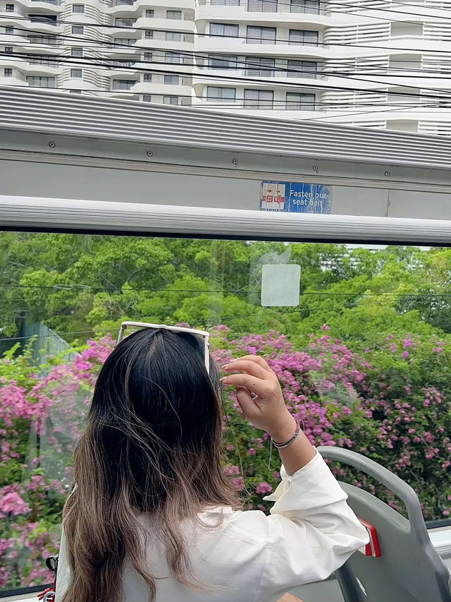 ชวนแฟนไปนั่งรถบัส 🚌 ชมวิวทะเล 🌊  🌴 , เมืองพัทยา