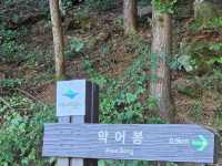 악어봉으로 등산 갔다온 악어새