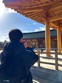 겨울여행의 낭만이 가득한 먹거리 천국, 전주🇰🇷