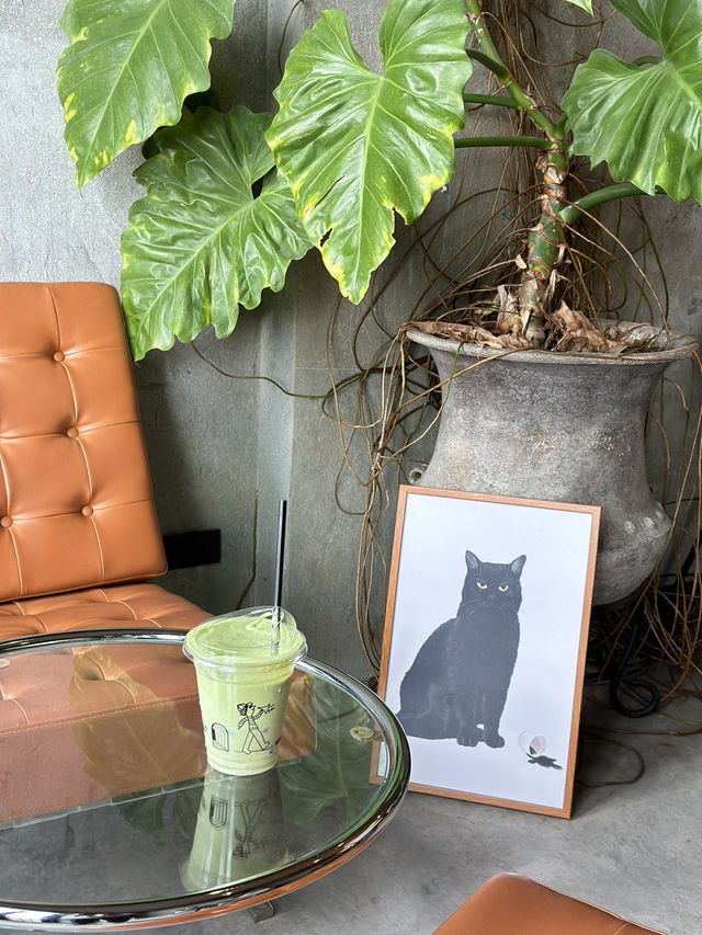 คาเฟ่สายทาสแมว🐱
