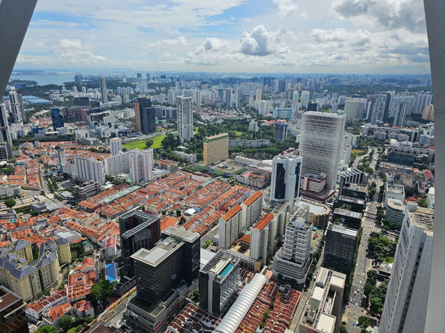 新加坡｜Sky Garden at CapitaSpring令人驚嘆的花園和觀景台