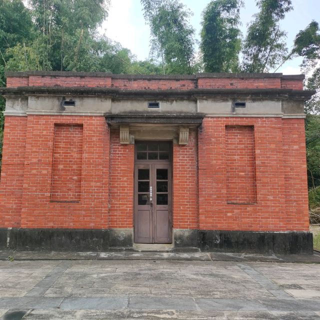 #櫻花盛開