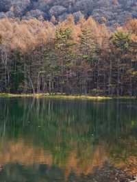 【長野】水面に映り込む超神秘的や紅葉絶景✨✨