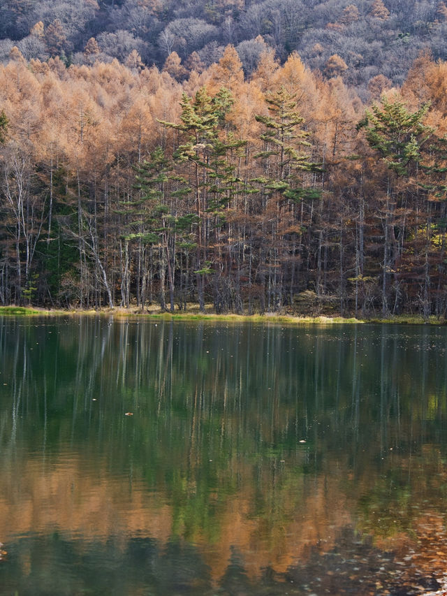 【長野】水面に映り込む超神秘的や紅葉絶景✨✨
