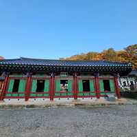 단풍구경도하고 보물가득한 수타사도 보러 홍천가자