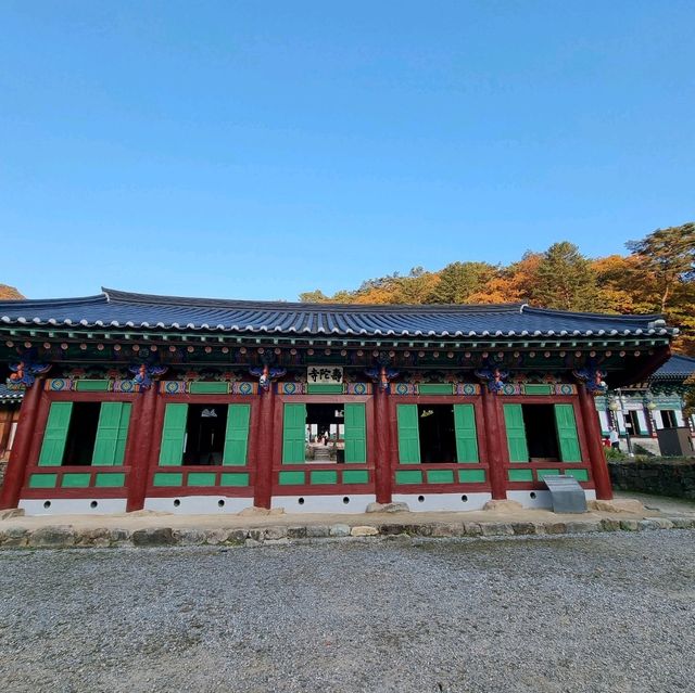 단풍구경도하고 보물가득한 수타사도 보러 홍천가자