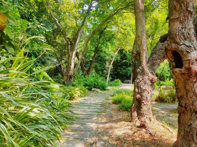 Tranquil Moments in Suan Luang Rama IX