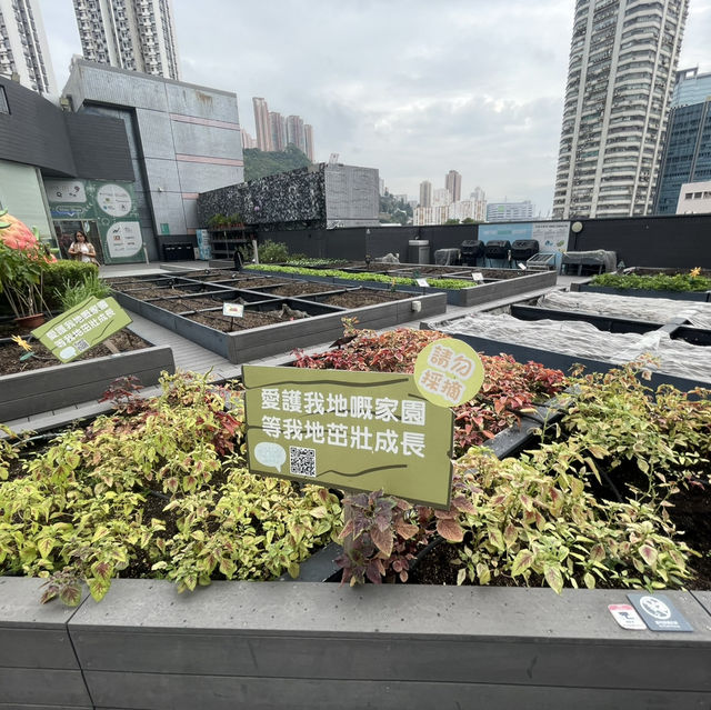 都市農莊享另類的城市生活