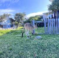 Breath taking north strabroke island