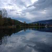 Vosges Mountains