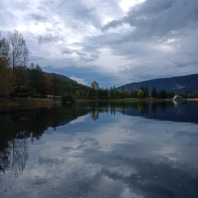 Vosges Mountains