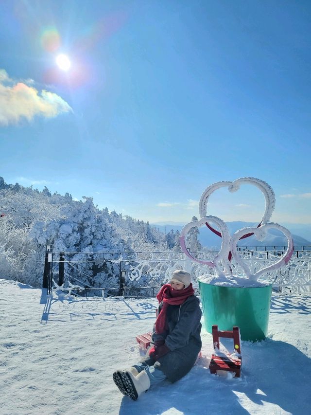 한국의 삿포로 평창으로 가야하는 이유❄️