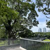 อีกหนึ่งสวนกลางเมืองฮีลใจ “สวนเบญจกิติ” 🏞️🏙️🌷
