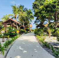 Sun, Sea, and Snorkeling: My Unforgettable Redang Island Getaway!