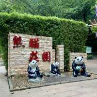🐘🦍令人難忘的深圳野生動物園🦁