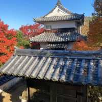 岡山景點｜空中之城．日本唯一山城天守閣—備中松山城（高粱城）