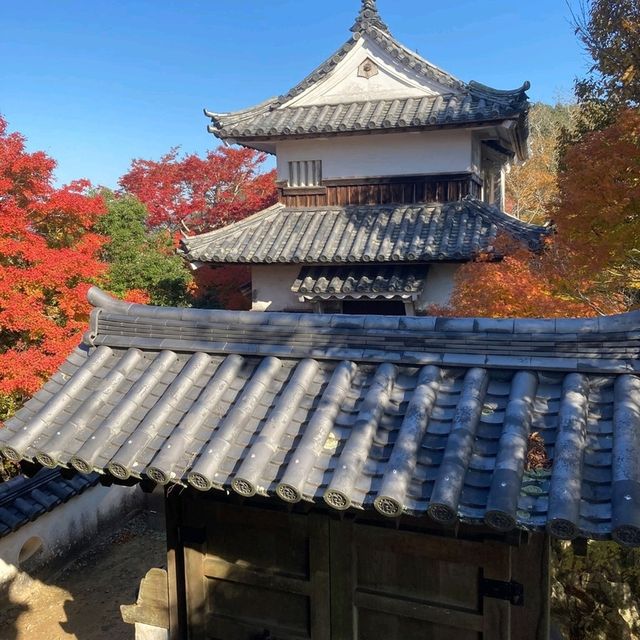 岡山景點｜空中之城．日本唯一山城天守閣—備中松山城（高粱城）