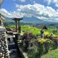 Jatiluwih Rice Terraces: A UNESCO World Heritage Gem