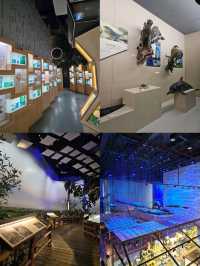 Guangdong Museum ชมวัฒนธรรม และประวัติศาสตร์