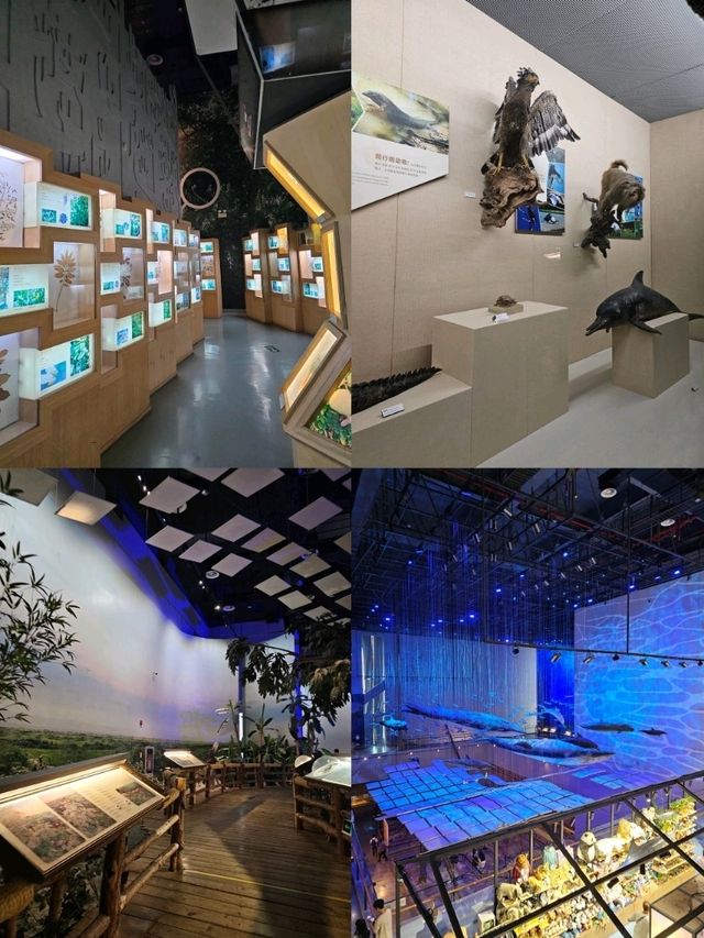 Guangdong Museum ชมวัฒนธรรม และประวัติศาสตร์